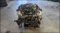 Preview: RS4 B7 Motor mit Anbauteilen