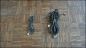 Preview: S6 Plus Kabelbaum Bose-System und Antenne