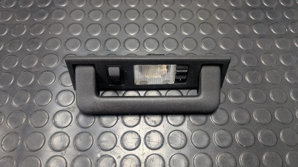 RS2 Haltegriff hinten links