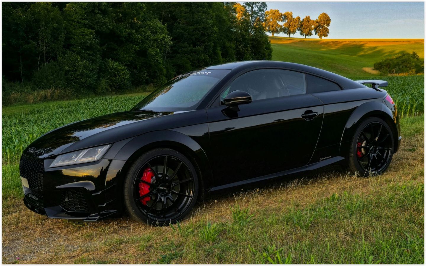 Audi TT RS 490 PS