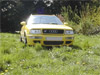 in speedgelb